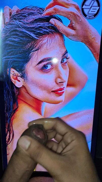 Wet Cum Tribute To Pooja Hegde Again Xhamster