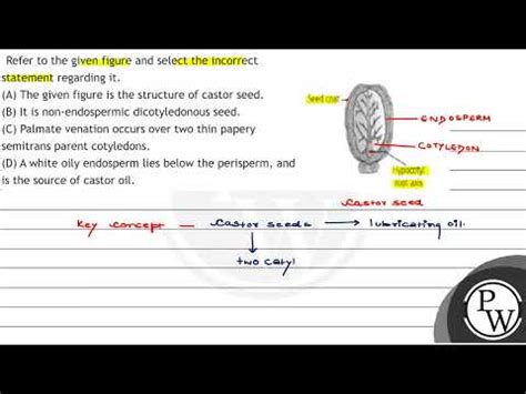 Refer To The Given Figure And Select The Incorrect Statement Regarding