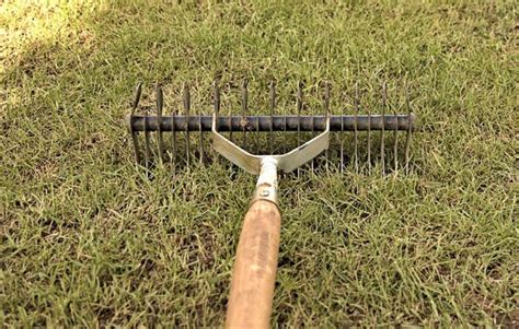 Guide to Dethatching a Lawn: Everything You Need to Know - OPE