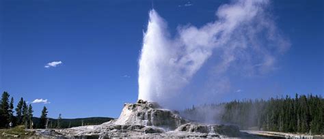 The Geysers of Yellowstone