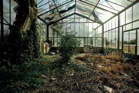 Inspiration 6 Most Beautiful Photos Of Abandoned Greenhouses Around