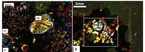 Photomicrographs Of Thin Section Under Transmitted Light And Between