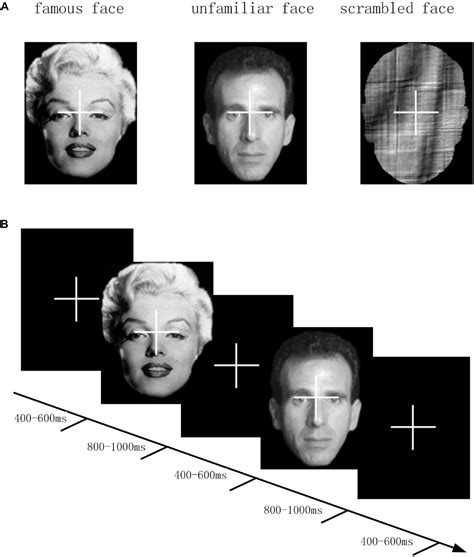 Frontiers Influence Of Eeg References On N170 Component In Human Facial Recognition