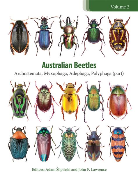 Australian Beetles Volume 2 Archostemata Myxophaga Adephaga Polyphaga Australian