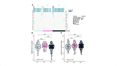 Mutation Landscape Of Ov Subtypes A Oncoplot Showing The