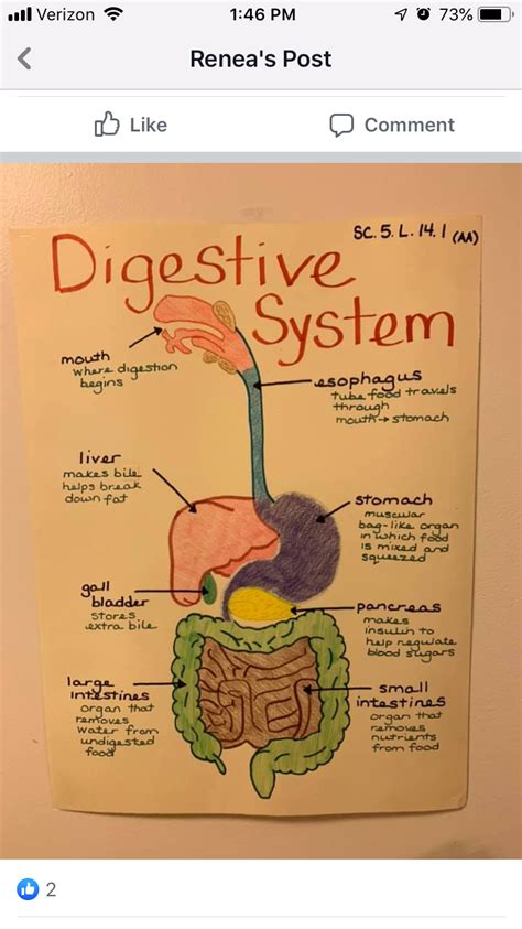 Learn Biology Biology Facts Biology Lessons Biology Notes Science