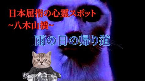 【怖い猫ミーム】雨の日の帰り道 猫ミーム 猫マニ 怖い話 八木山橋 Youtube