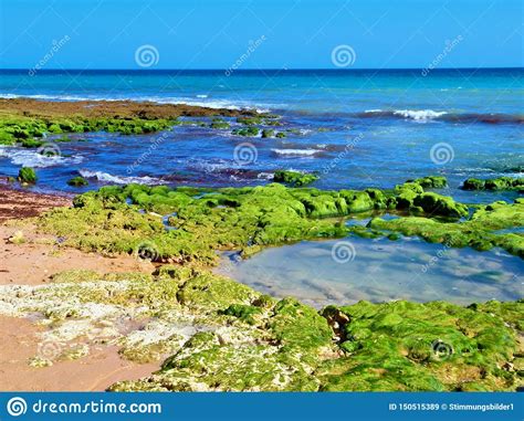 Paradise Beach at the Ocean with Green Rocks Stock Image - Image of ...