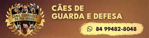 Ufrn Aprova Novo Calend Rio Para E Ap S Fim Da Greve Dos