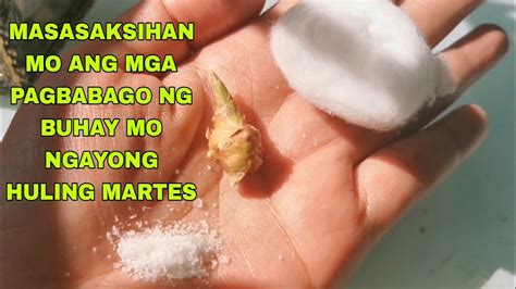 Makaka Tulong Ito Kung Pano Ka Yumaman Gawin Ngayong Huling Martes