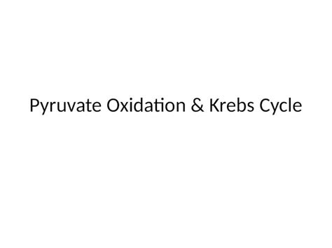 Ppt Pyruvate Oxidation Krebs Cycle Step Pyruvate Oxidation