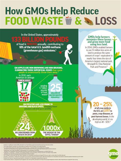 How GMOs Help Us Reduce Food Waste Its Environmental Impact