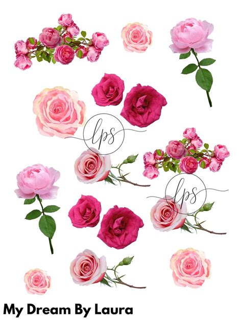 Stickers Flower Fun Pink Roses Flower Stickers Printable Stickers