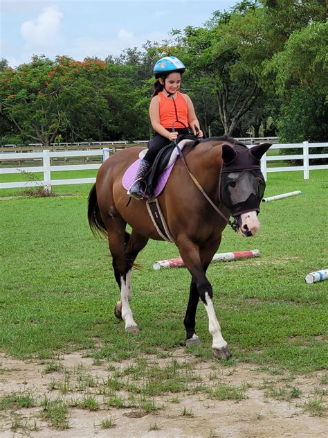 Horseback Riding Lessons – FAMILY HORSE ACADEMY