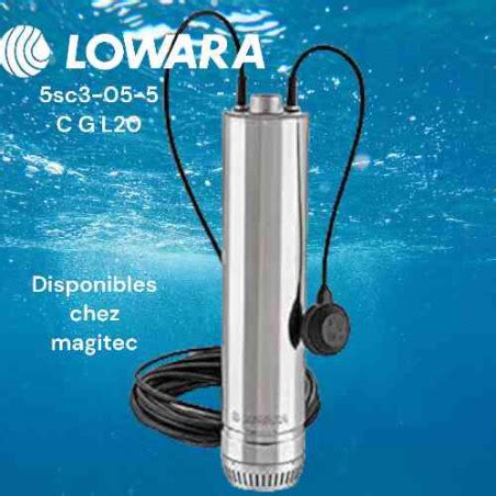 Pompe Immerg E Lowara V V Prix Maroc