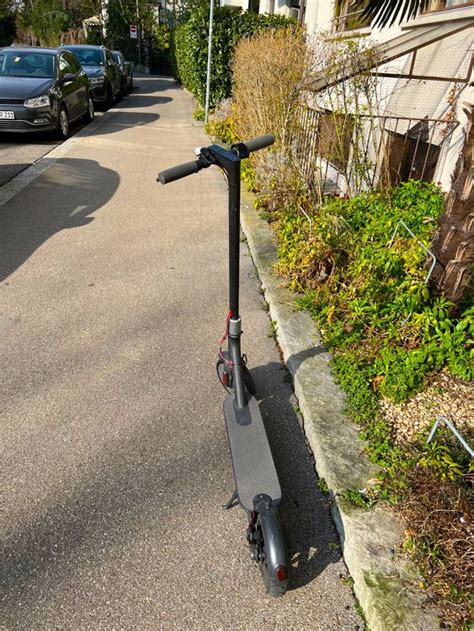 E Scooter Elektro Trottinett Kaufen Auf Ricardo