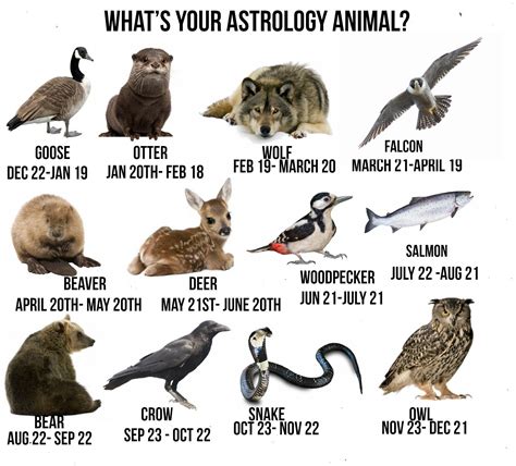 What's Your Astrology Animal? Personality Traits and Characteristics