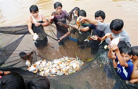 China Desplaz A Per Y Ahora Lidera La Producci N De Peces Amaz Nicos