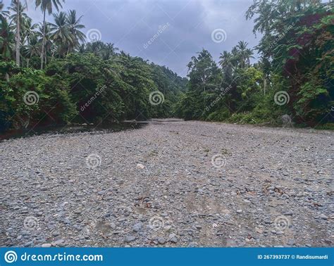 The View on the River when the Water Discharge Decreases Stock Image ...