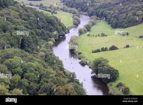 Peregrine Falcons, nesting, Wye Valley, Simmonds Yat, England Stock Photo - Alamy