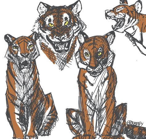 Tiger Studies By Paleokat On Deviantart