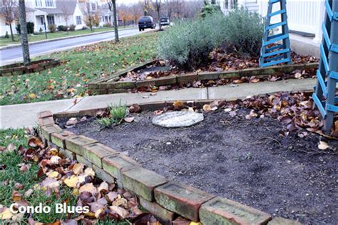 Condo Blues Shredded Cardboard Mulch