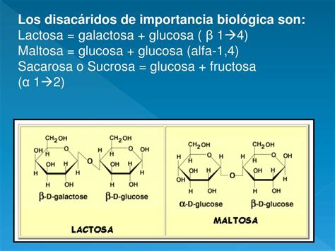 Ppt Disac Ridos Y Polisac Ridos Powerpoint Presentation Free