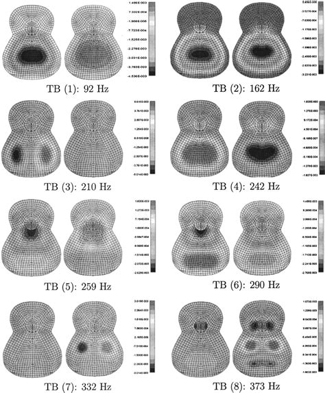 Calculated Coupled Vibration Modes And Natural Frequencies In Hz Of The Download Scientific