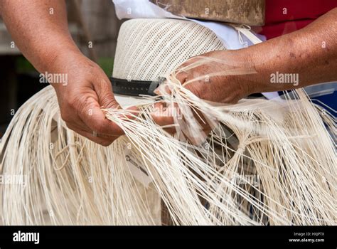 Tejido Tradicional De Sombreros De Paja Toquilla Ecuatoriano Unesco