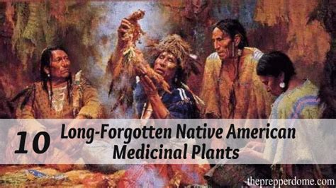 10 Long-Forgotten Native American Medicinal Plants - The Prepper Dome