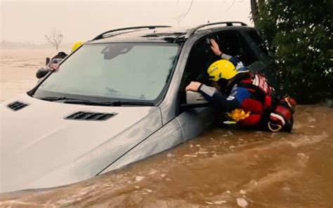 Courage Under Water True Stories From Devastating Nsw Floods Daily