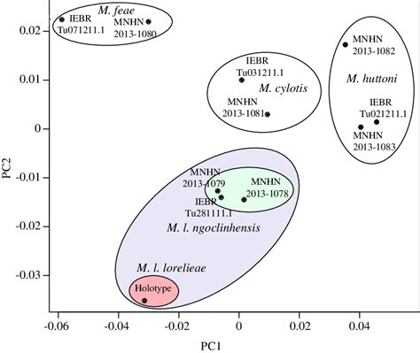 Principal Component Analysis Based On Geometric Morphometric Analyses