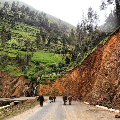 Camino A Huaraz Per Fair Trade Certified Amaranth Peruvian Quinoa