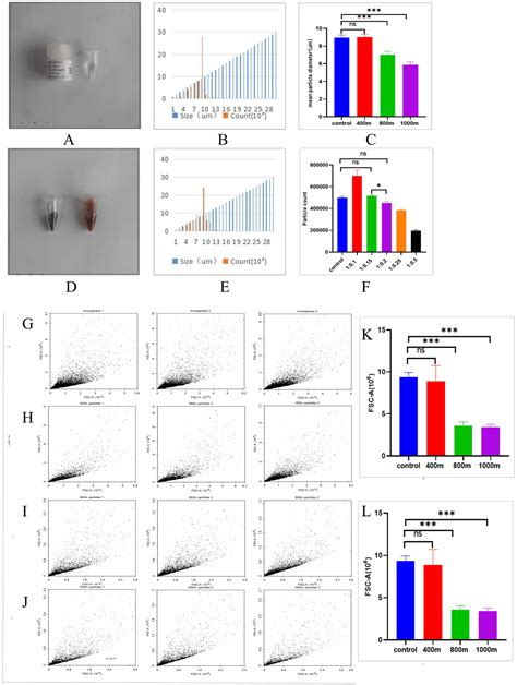 Establishment Of CME Mouse Model Based On Autologous Thrombotic