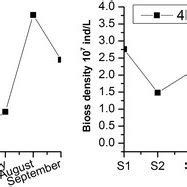 Temporal And Spatial Variation Of The Phytoplankton Biomass Density A