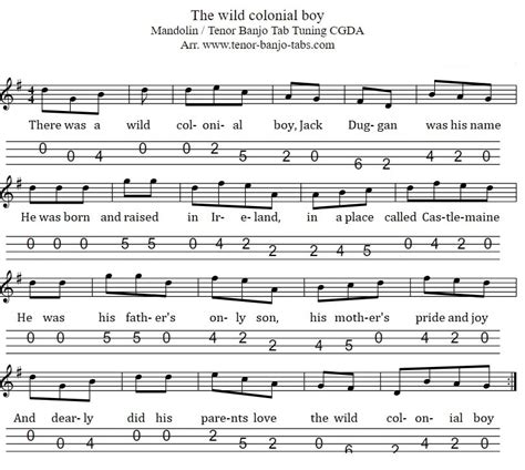 The Wild Colonial boy sheet music with chords - Tenor Banjo Tabs