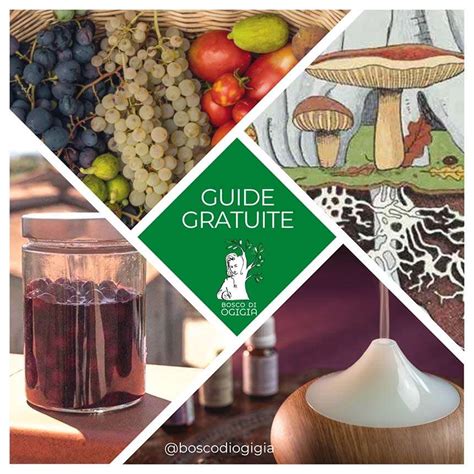 Guide Gratuite Su Agricoltura Naturale Food Forest E Permacultura