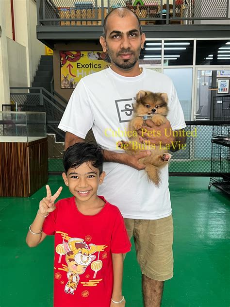 22/12/2022... - Cubica Pets United / HQ Kempas