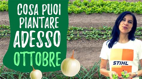 Cosa Piantare A Ottobre La Guida Completa Per Il Tuo Giardino