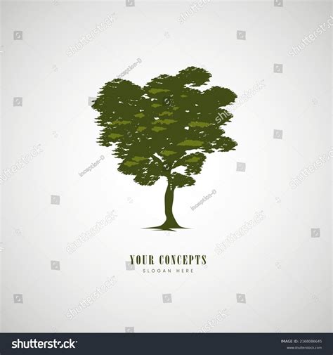 Tree Vector Pine Trees Forest Isolated Stock Vector (Royalty Free ...