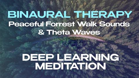 Binaural Therapy Deep Learning Meditation Peaceful Forrest Walk