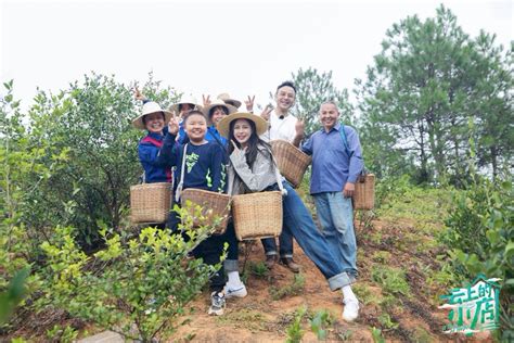 《云上的小店》助力乡村振兴 娱乐频道 中国青年网