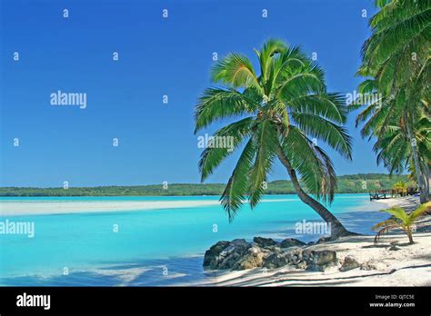 Sea Aitutaki Hi Res Stock Photography And Images Alamy