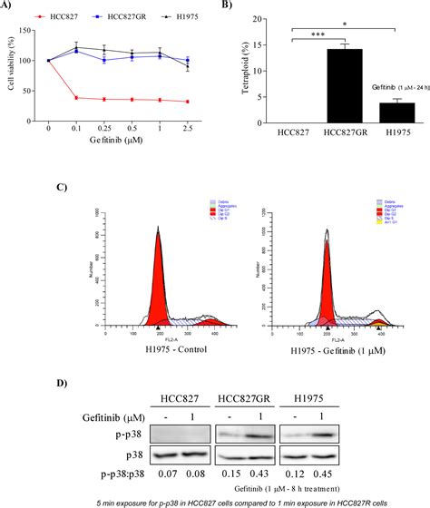 Losmapimod Overcomes Gefitinib Resistance In Non Small Cell Lung Cancer