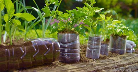 How To Make A Plastic Bottle Garden For Sustainable Gardening