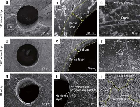 Sem Images Of Micro Holes Generated By The Conical Tipped And