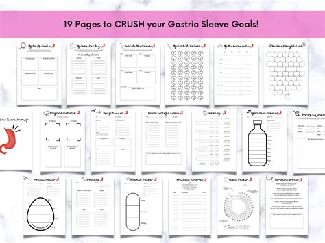 Gastric Sleeve Pre-op & Post-op Planner, Bariatric Surgery Journal, VSG