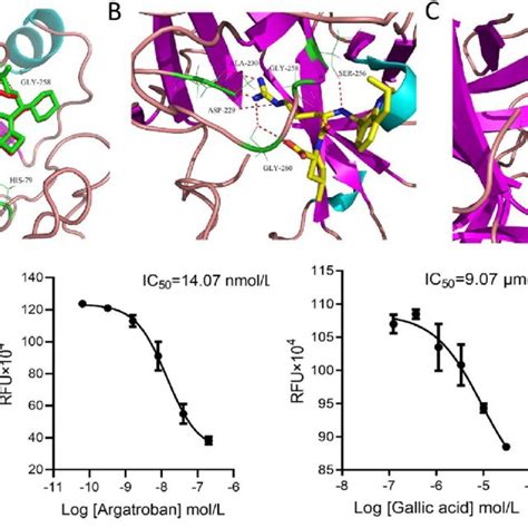 Binding Mode Of Ligand MEL A Argatroban B And Gallic Acid C In