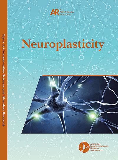 Neuroplasticity