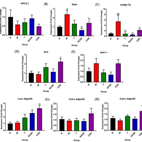 Gene Expressions As Measured Using Rt Qpcr A Npc1l1 Expression In Download Scientific